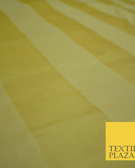 Luxury Warm Gold Double Striped Lines 100% SILK ORGANZA Fabric Sheer 48" 4624