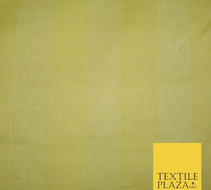 Luxury Warm Gold Double Striped Lines 100% SILK ORGANZA Fabric Sheer 48" 4624