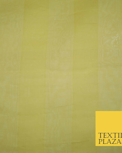 Luxury Warm Gold Double Striped Lines 100% SILK ORGANZA Fabric Sheer 48" 4624