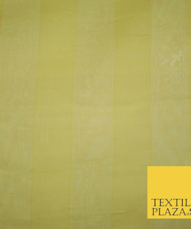 Luxury Warm Gold Double Striped Lines 100% SILK ORGANZA Fabric Sheer 48" 4624