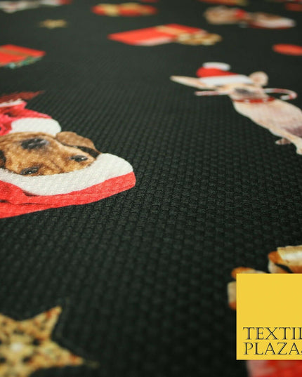 Festive Spaniel Pug Mix Dogs Gifts Stars Christmas Waffle Jersey Fabric 58" 5049