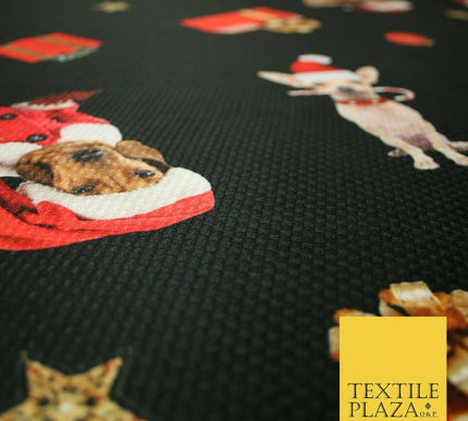 Festive Spaniel Pug Mix Dogs Gifts Stars Christmas Waffle Jersey Fabric 58" 5049