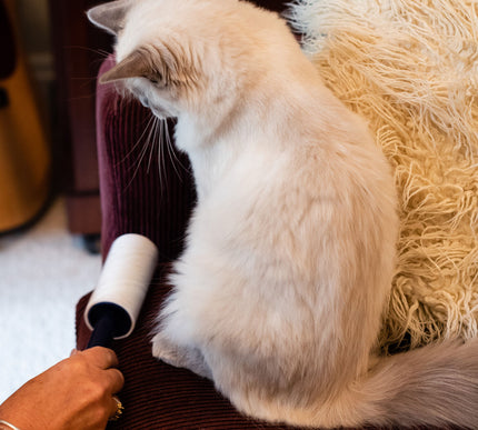 KORBOND 3 PACK Pet Hair Sticky Roller 33 Sheets Scented Remove Lint Dust 110720