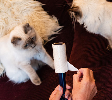 KORBOND 3 PACK Pet Hair Sticky Roller 33 Sheets Scented Remove Lint Dust 110720