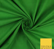 Lime Green 10397 / 1 Metre