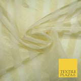 Luxury Ivory Gold Double Striped Lines 100% SILK ORGANZA Fabric Sheer 48" 4625