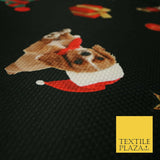 Festive Spaniel Pug Mix Dogs Gifts Stars Christmas Waffle Jersey Fabric 58" 5049